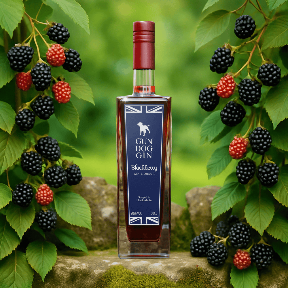 Blackberry Gin Liqueur 50cl - TEST