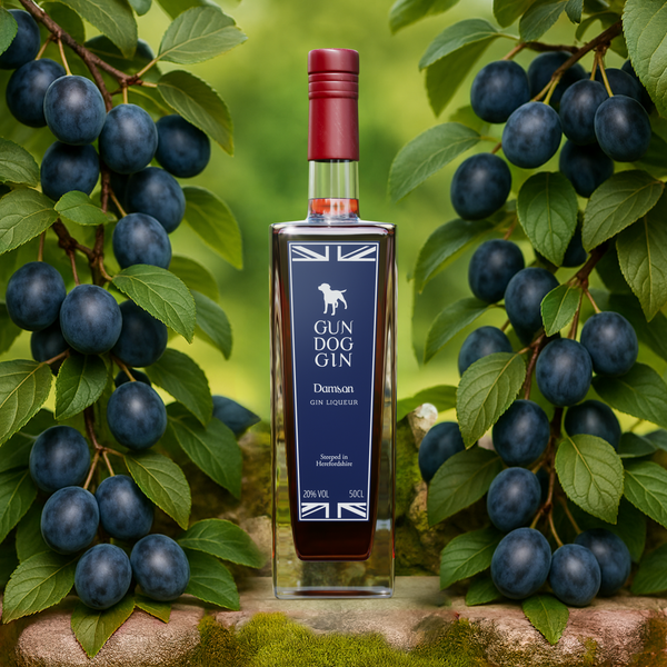Damson Gin Liqueur