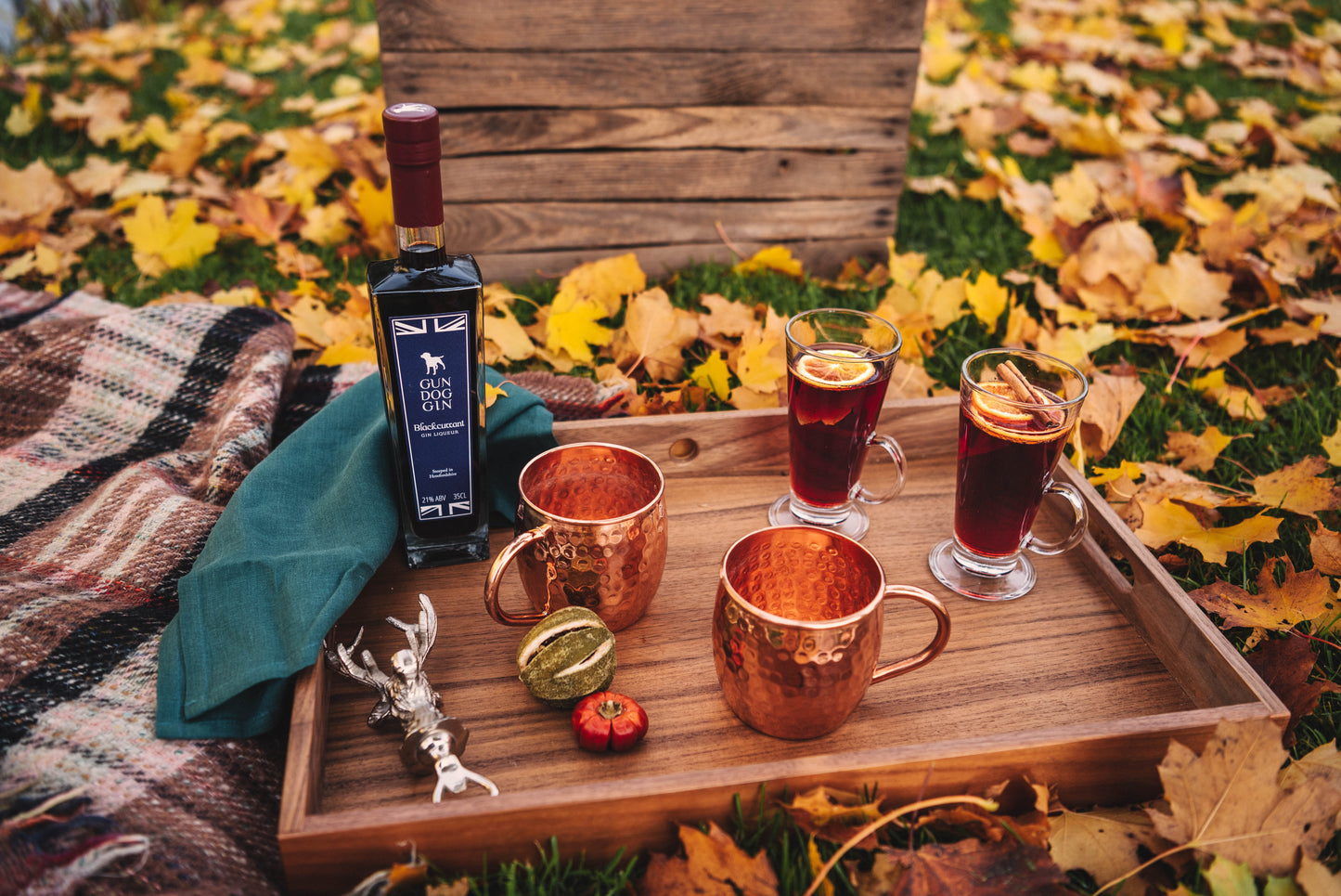 Blackcurrant Gin Liqueur