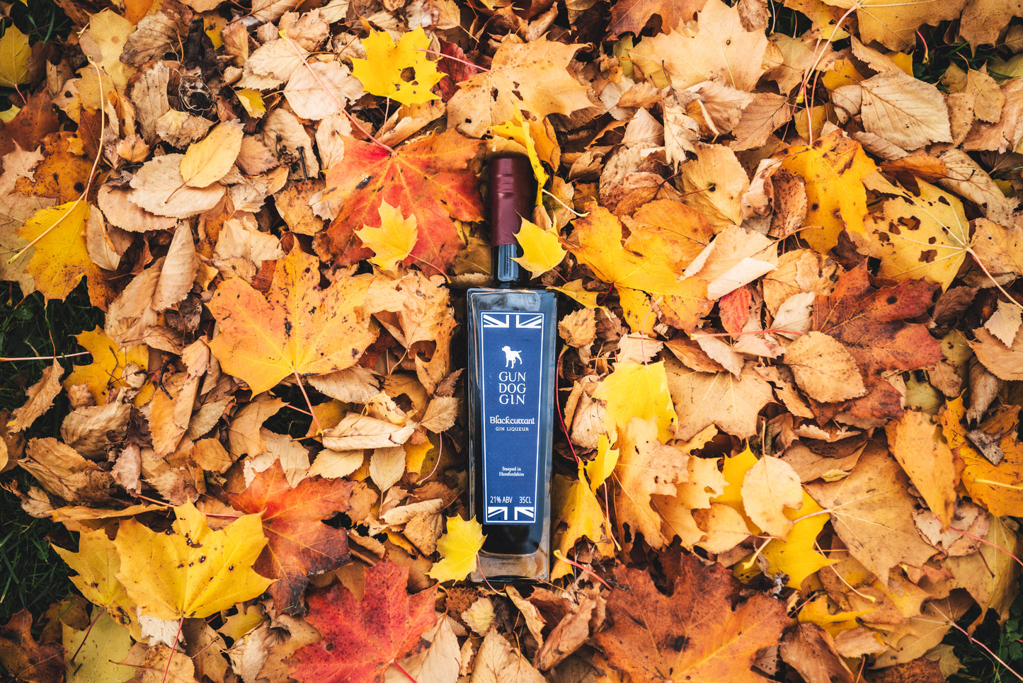 Blackcurrant Gin Liqueur