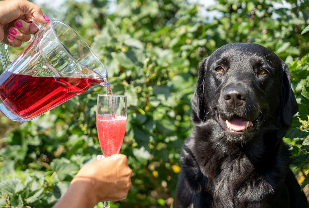 image in image with text